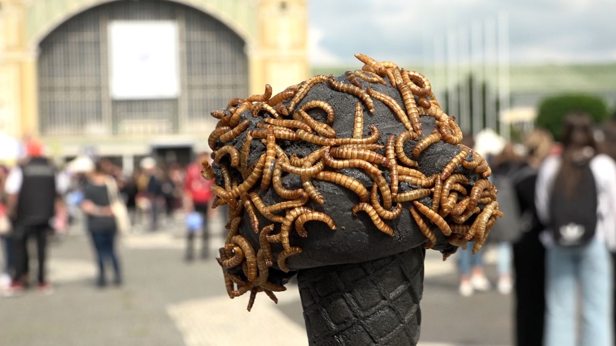 Na Ice Cream festivalu mohou lidé ochutnat hmyzí nebo gintonikovou zmrzlinu